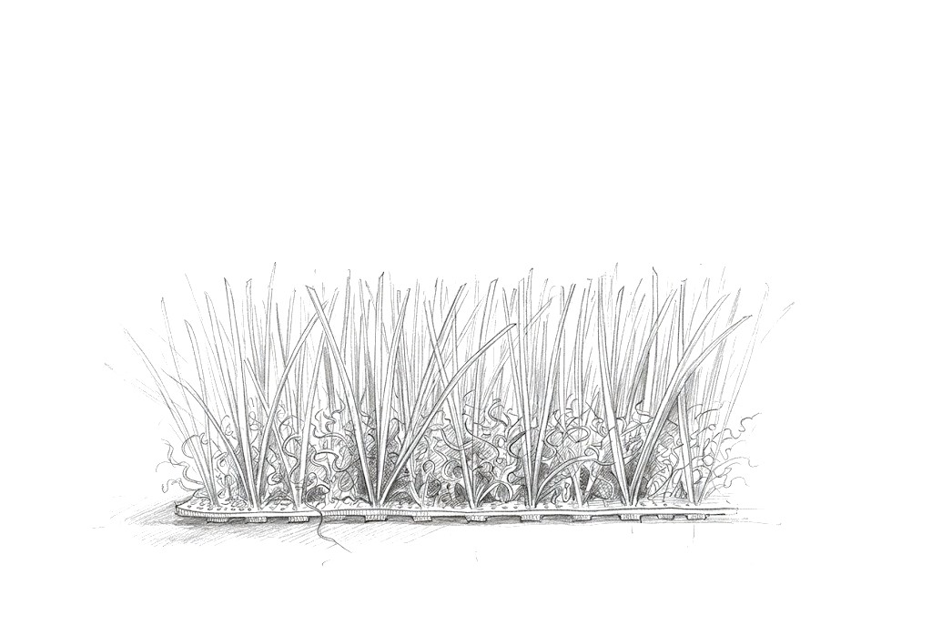 Blades of artificial grass, drawing